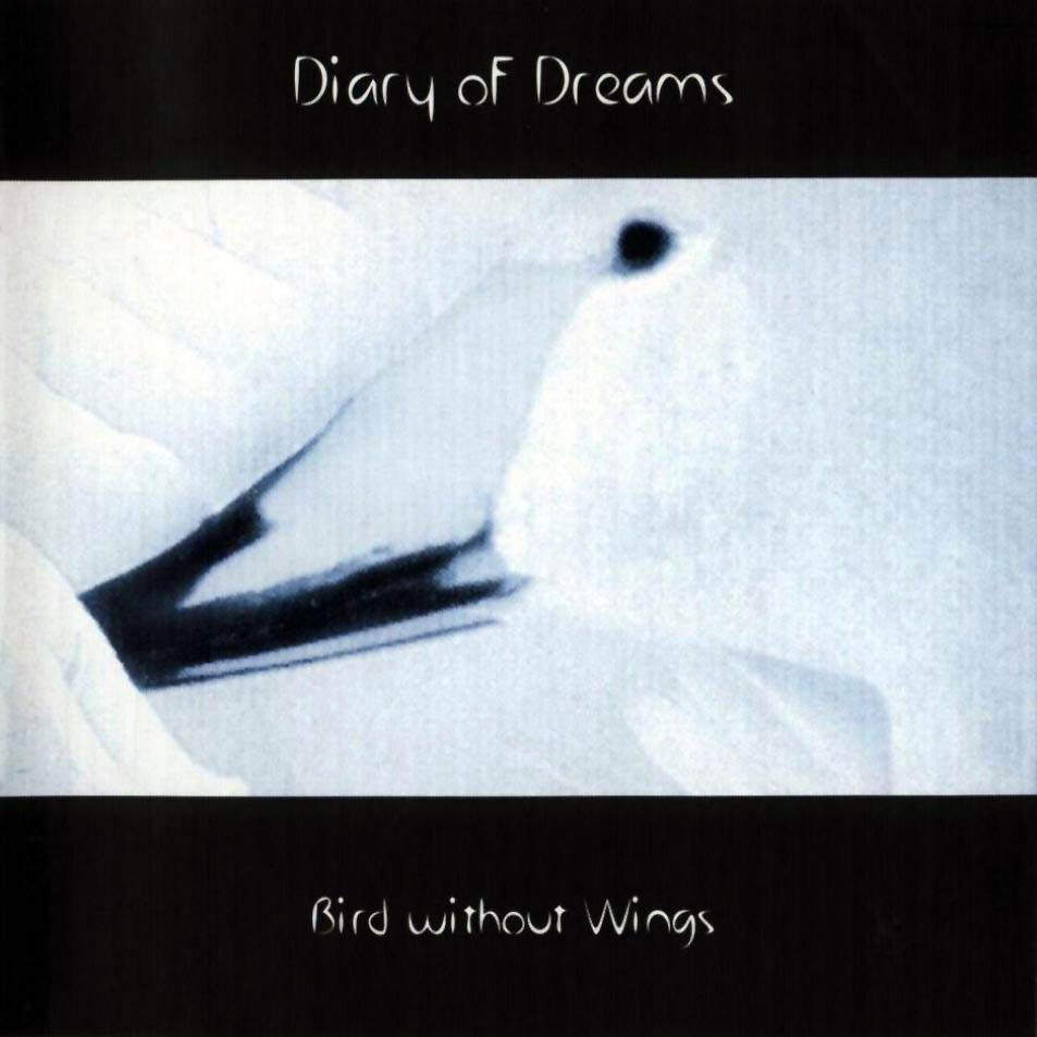 Diary Of Dreams - Bird Without Wings (Cover)